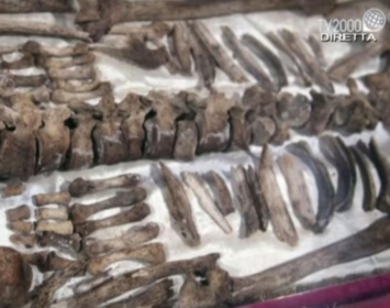 ESCLUSIVA TG2000: dentro il sepolcro di S. Francesco