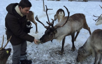 Courmayeur: il primo allevamento di renne in Italia