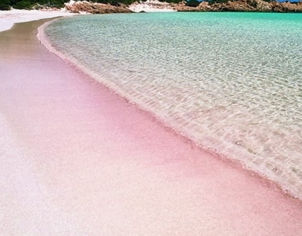 Esclusiva Tv2000: isola di Budelli torna a Stato